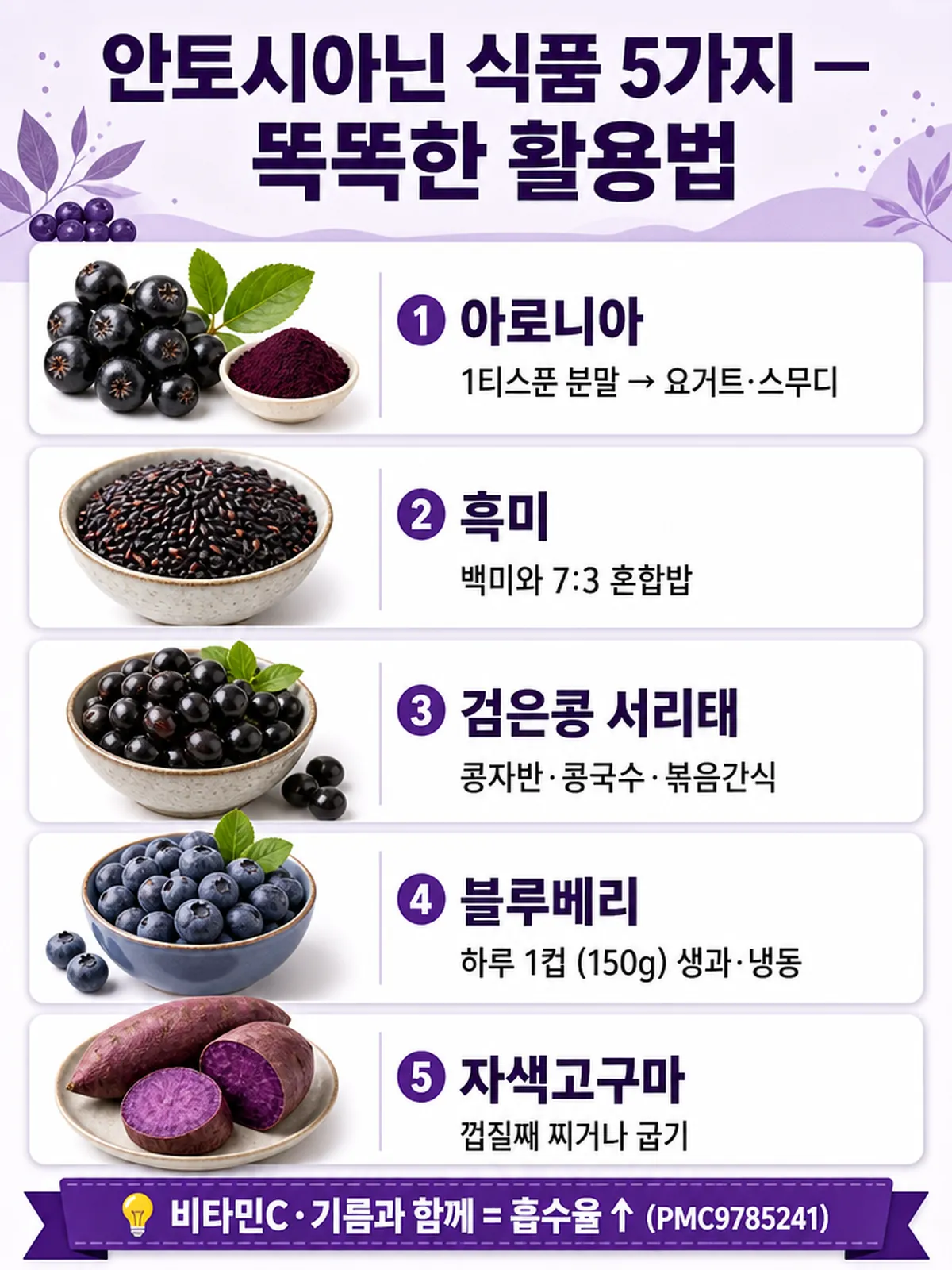 안토시아닌 식품 5가지 활용법 (아로니아·흑미·검은콩·블루베리·자색고구마) 인포그래픽