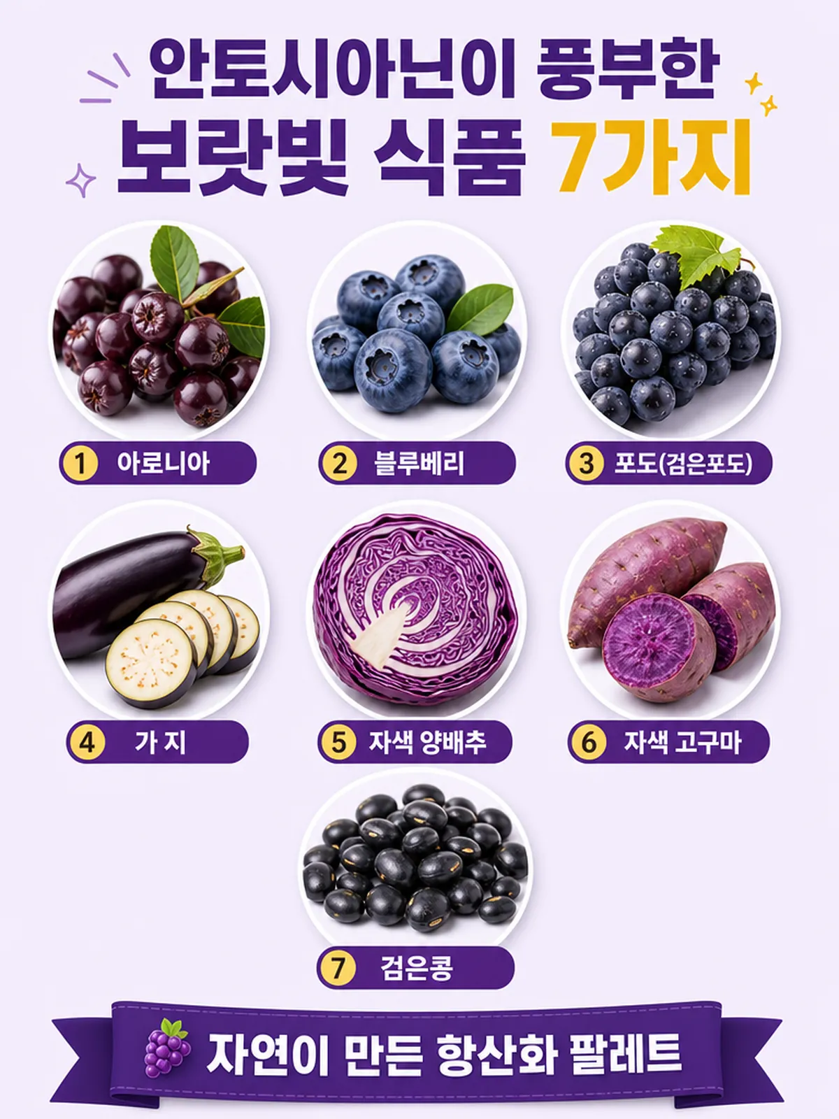안토시아닌이 풍부한 보랏빛 식품 7가지 (아로니아·블루베리·포도·가지·적양배추·자색고구마·검은콩) 인포그래픽