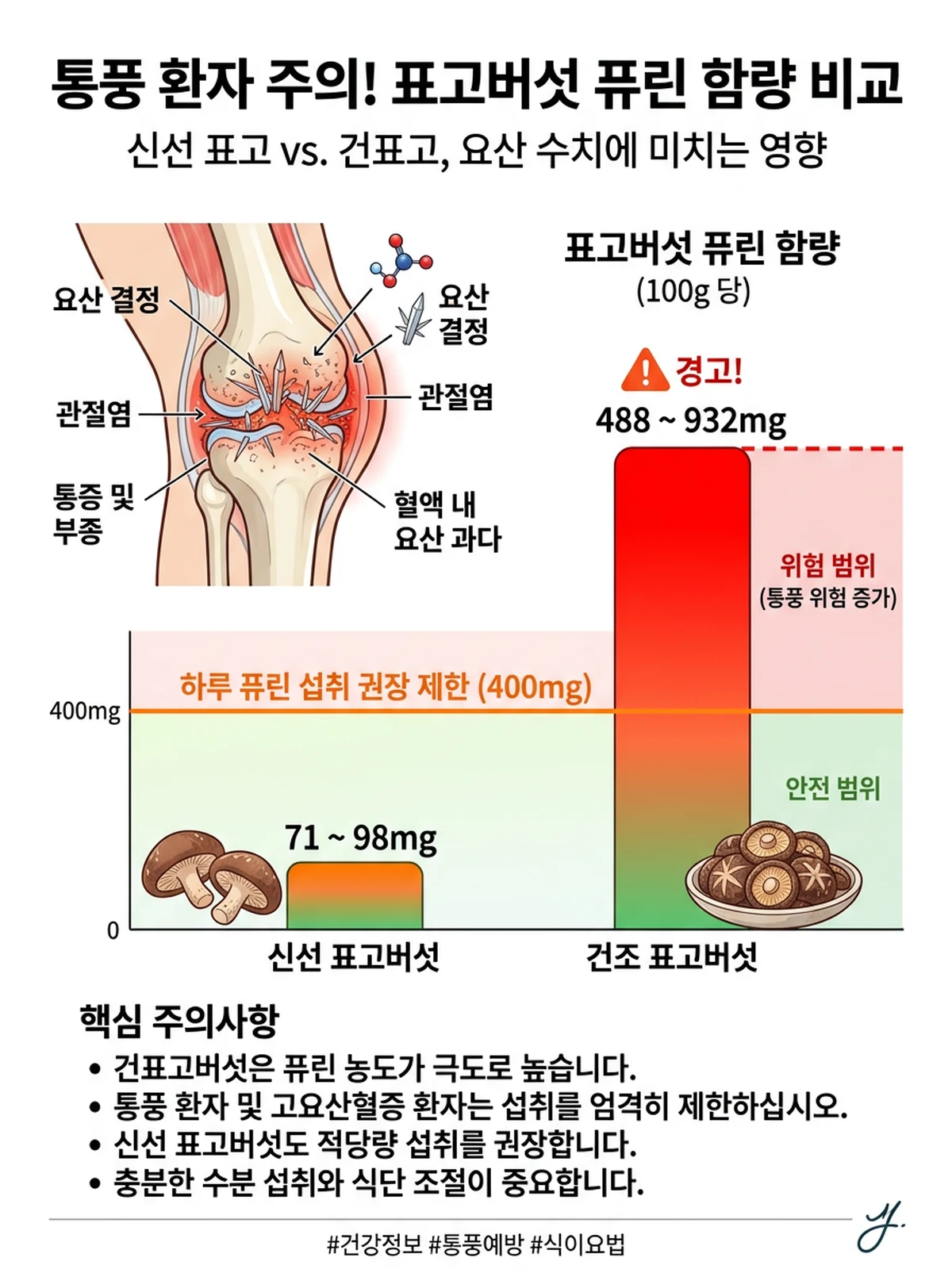 생표고버섯과 건표고버섯 퓨린 함량 비교 및 통풍 환자 주의사항