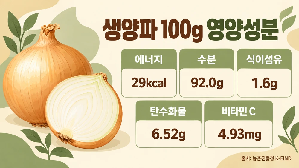 생양파 100g 영양성분 인포그래픽: 29kcal, 수분 92.0g, 식이섬유 1.6g, 탄수화물 6.52g, 비타민 C 4.93mg (농촌진흥청 K-FIND 기준)