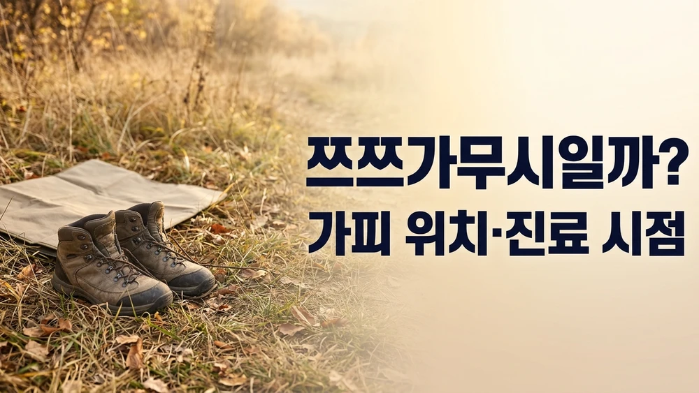 가을 야외활동 뒤 열이 나면 쯔쯔가무시일까? 검은 딱지 위치와 진료받을 시점