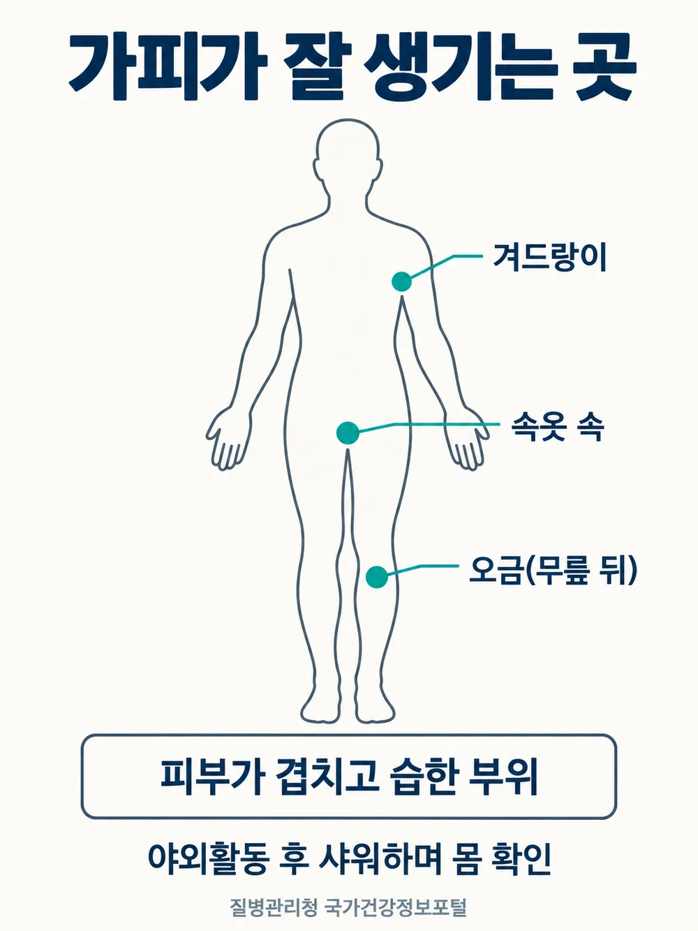 쯔쯔가무시 가피가 잘 생기는 부위 속옷 속 겨드랑이 오금과 확인 방법